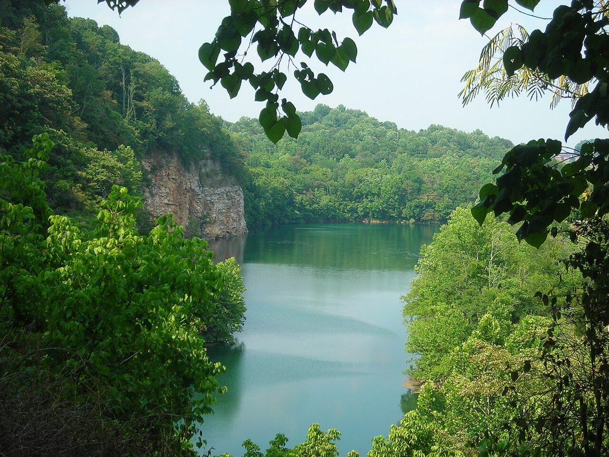 Mead's Quarry at Ijams Nature Center, seen from an overlook along Tharp Trace.