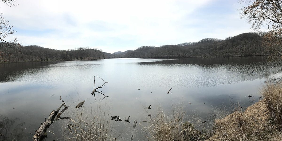 Radnor Lake State Park, in the hills south of downtown.